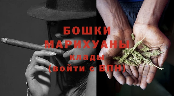 сатива Белокуриха