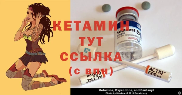 сатива Белокуриха