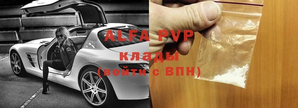сатива Белокуриха