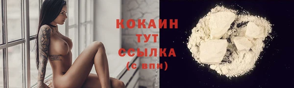 сатива Белокуриха