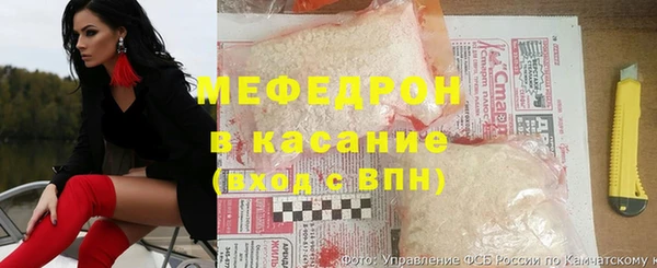 сатива Белокуриха